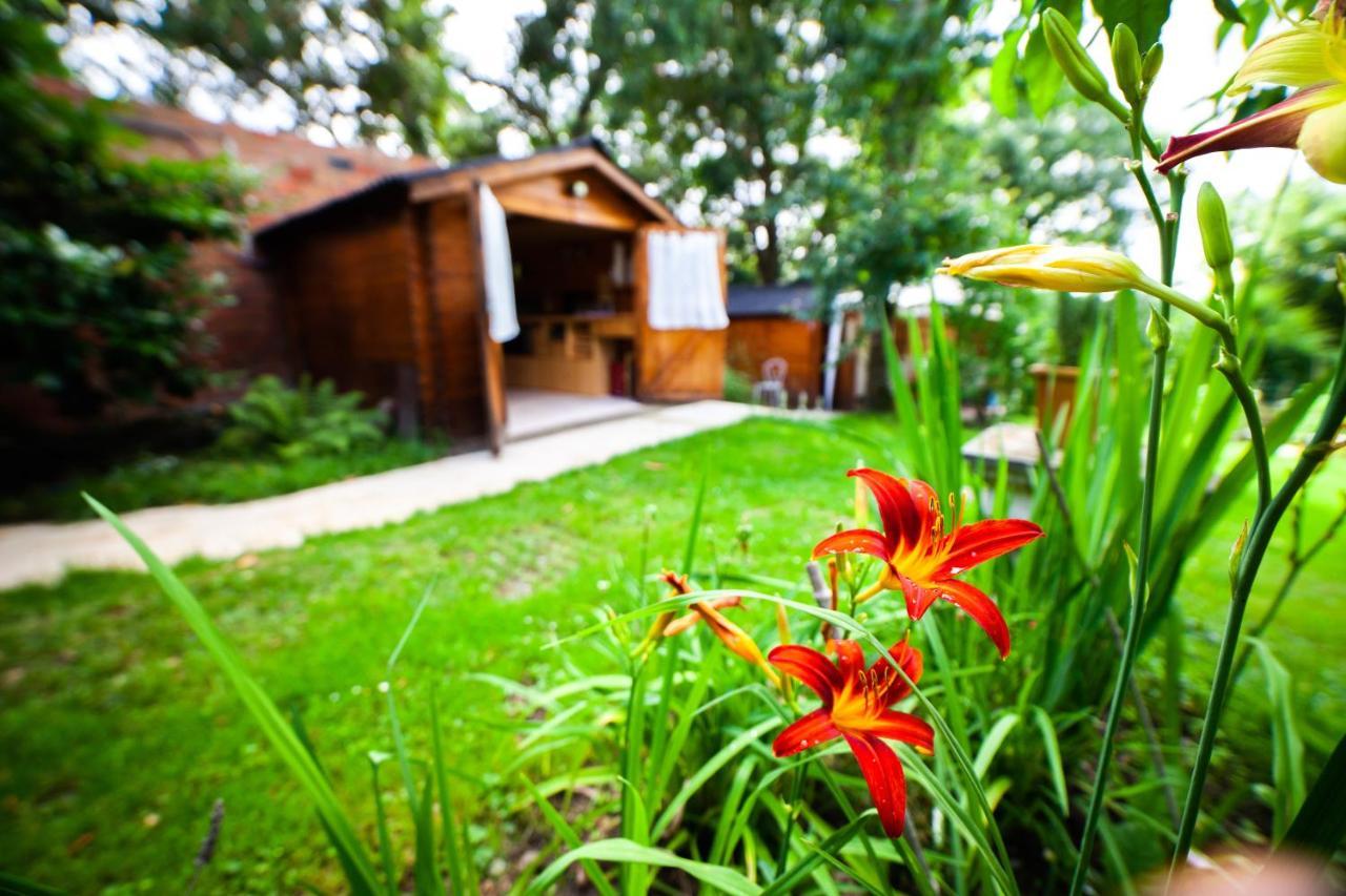 Mirguet Au Jardin Apartment Saint-Elix-le-Chateau Ngoại thất bức ảnh